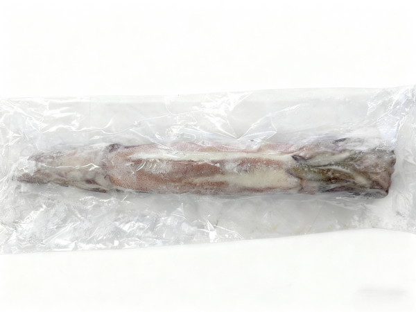 Whole Squid