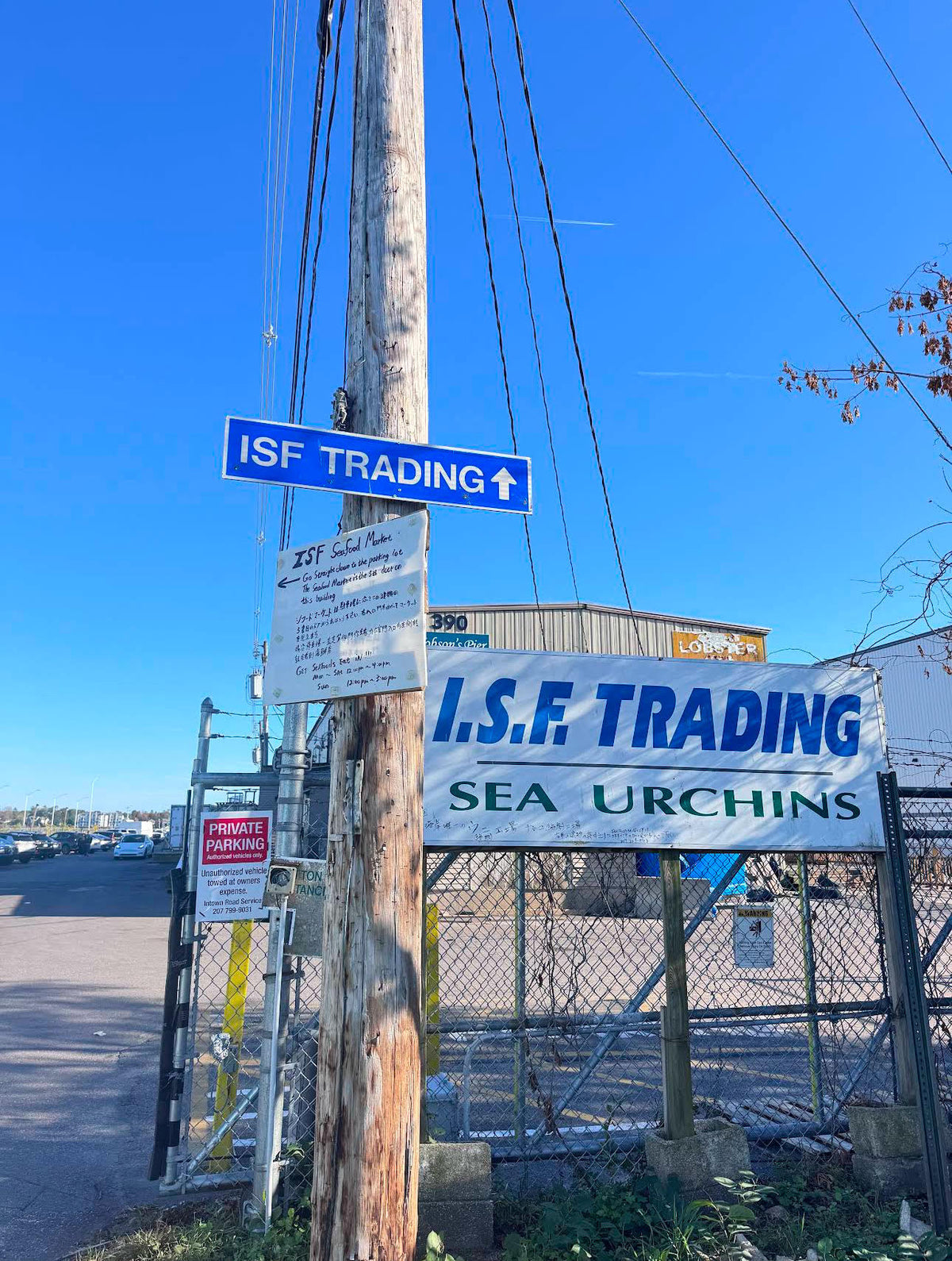 Contact – ISF Trading